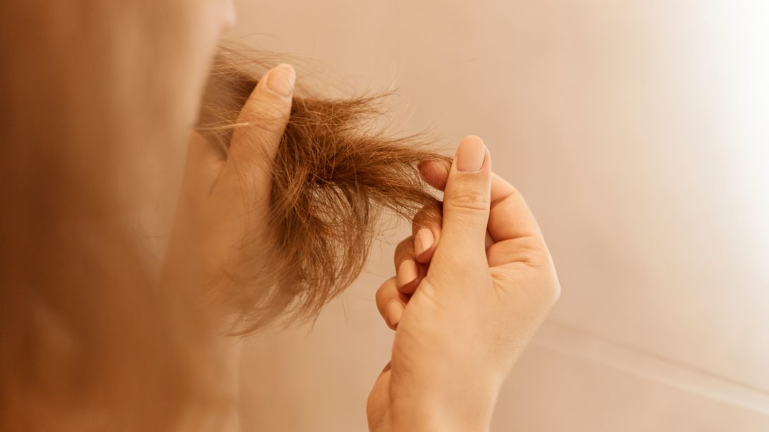 Closeup portrait of woman hands holding dry damaged hair eds, having trichology problem.