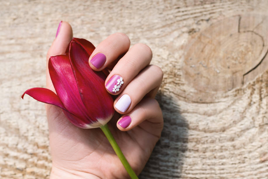Female hand with purple nail design holding beautiful pink tulip