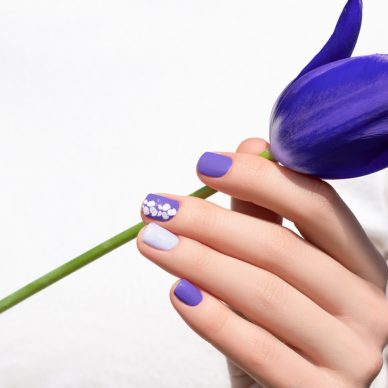 Purple nail design. Female hand with purple manicure holding tulip flower.