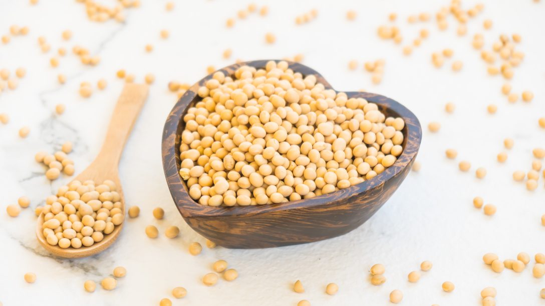 Yellow soy beans in wooden bowl - Healthy and Nutrition food concept