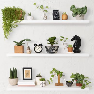 Home decor indoor plant shelf