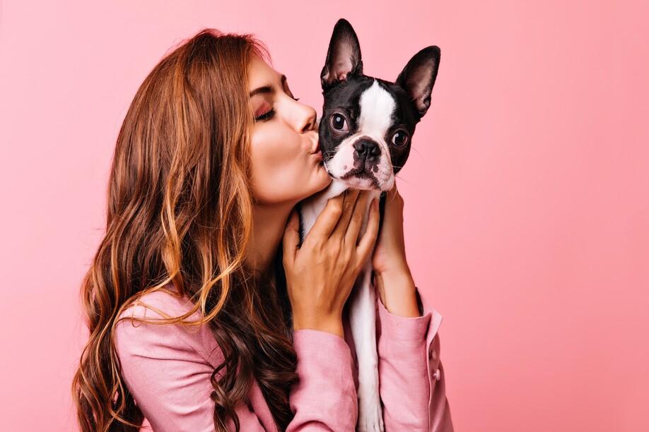 Lovely female model kissing funny bulldog puppy. Indoor portrait of refined dark-haired girl posing on pink background with dog.