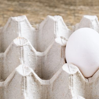 One white egg in the pack on wooden background