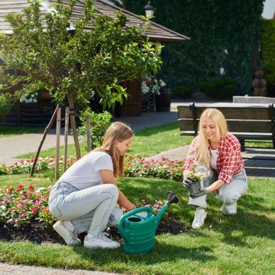 Pretty caucasian mother with her teenage daughter planting flowers from pot at garden. Two beautiful blonde working in gloves on back yard. Summer season.