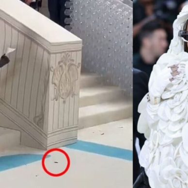 Κατσαρίδα έγινε viral όταν περπάτησε στο Met Gala λίγο πριν βγει η Rihanna