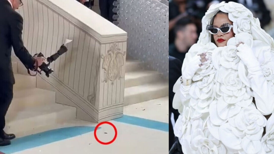 Κατσαρίδα έγινε viral όταν περπάτησε στο Met Gala λίγο πριν βγει η Rihanna