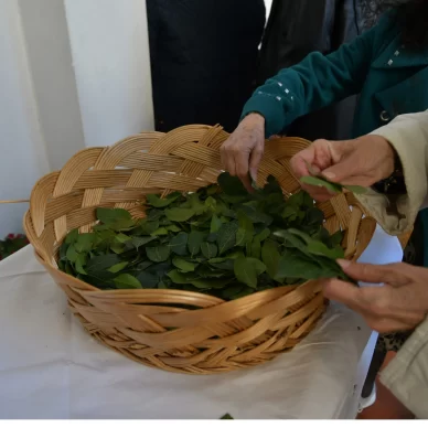 Κυριακή των Βαΐων: Τι γιορτάζουμε σήμερα