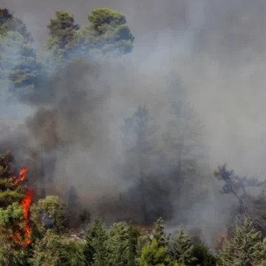 Φωτιά στον Βαρνάβα: Άνοιξαν οι χώροι του ΟΑΚΑ για τους κατοίκους των περιοχών που εκκενώθηκαν