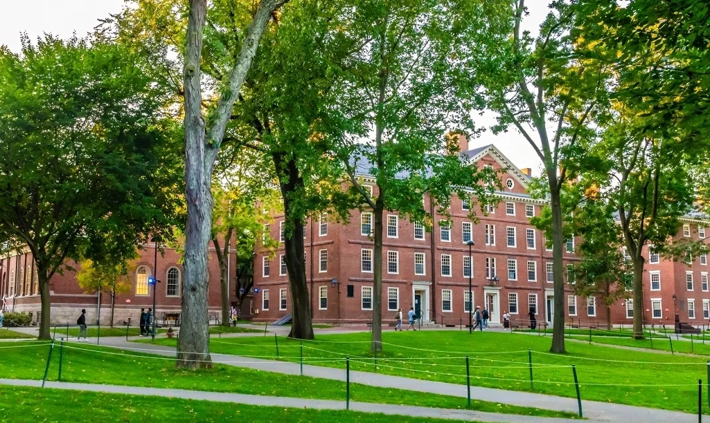 Επιστήμονας του Χάρβαρντ απεφάνθη: 2 αλλαγές στην καθημερινότητά σου θα αλλάξουν ριζικά τη ζωή σου