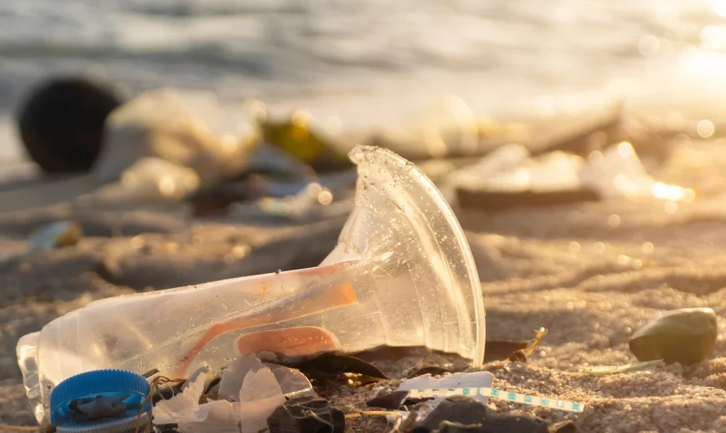 “Καμπανάκι” για τη θαλάσσια ρύπανση στην Αλόννησο