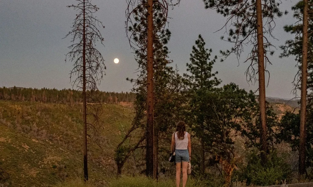 4 ζώδια επηρεάζονται εντονότερα από την Πανσέληνο του Ελαφιού – Αιφνίδιες αλλαγές και αφανείς προκλήσεις