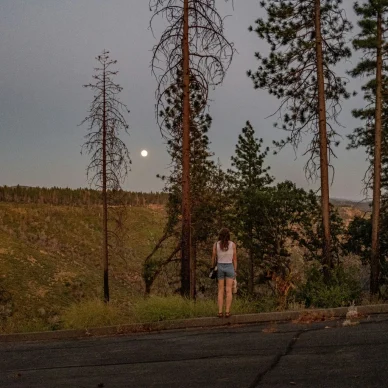 4 ζώδια επηρεάζονται εντονότερα από την Πανσέληνο του Ελαφιού – Αιφνίδιες αλλαγές και αφανείς προκλήσεις