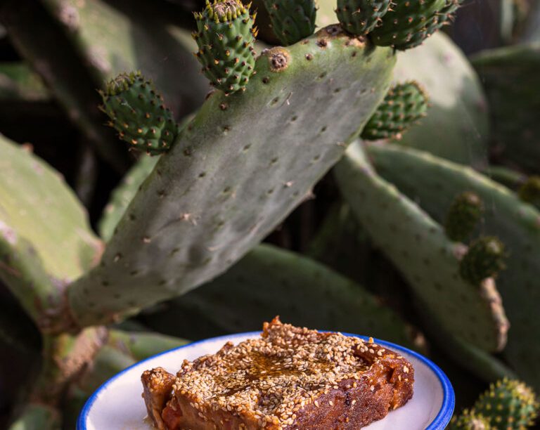 Καρπουζένια από τη Φολέγανδρο