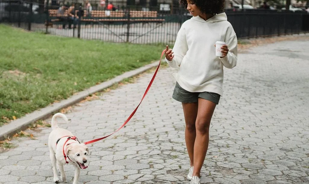 Τελικά πρέπει να κάνεις 10.000 βήματα ημερησίως; Η αλήθεια πίσω από τον μύθο