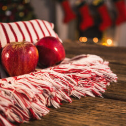 Rolled blanket with two apples on wooden table against christmas decor Rolled blanket with two apples on wooden table