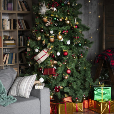 Χριστουγεννιάτικη διακόσμηση σαλονιού! Ποιος είναι o βασικότερος στολισμός;