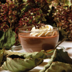 sokolata_viennua_ALKHS_KALOYDHS-768x960 sokolata_viennua_ALKHS_KALOYDHS-768×960