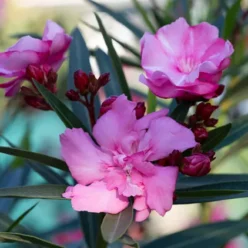 b961640920dd487191721d3c27a3930b