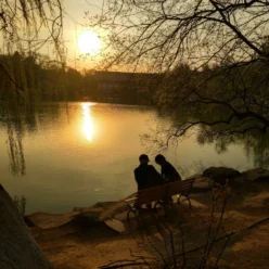 zodia-anthizei-prosopiki-zoi