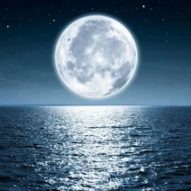 fullmoon